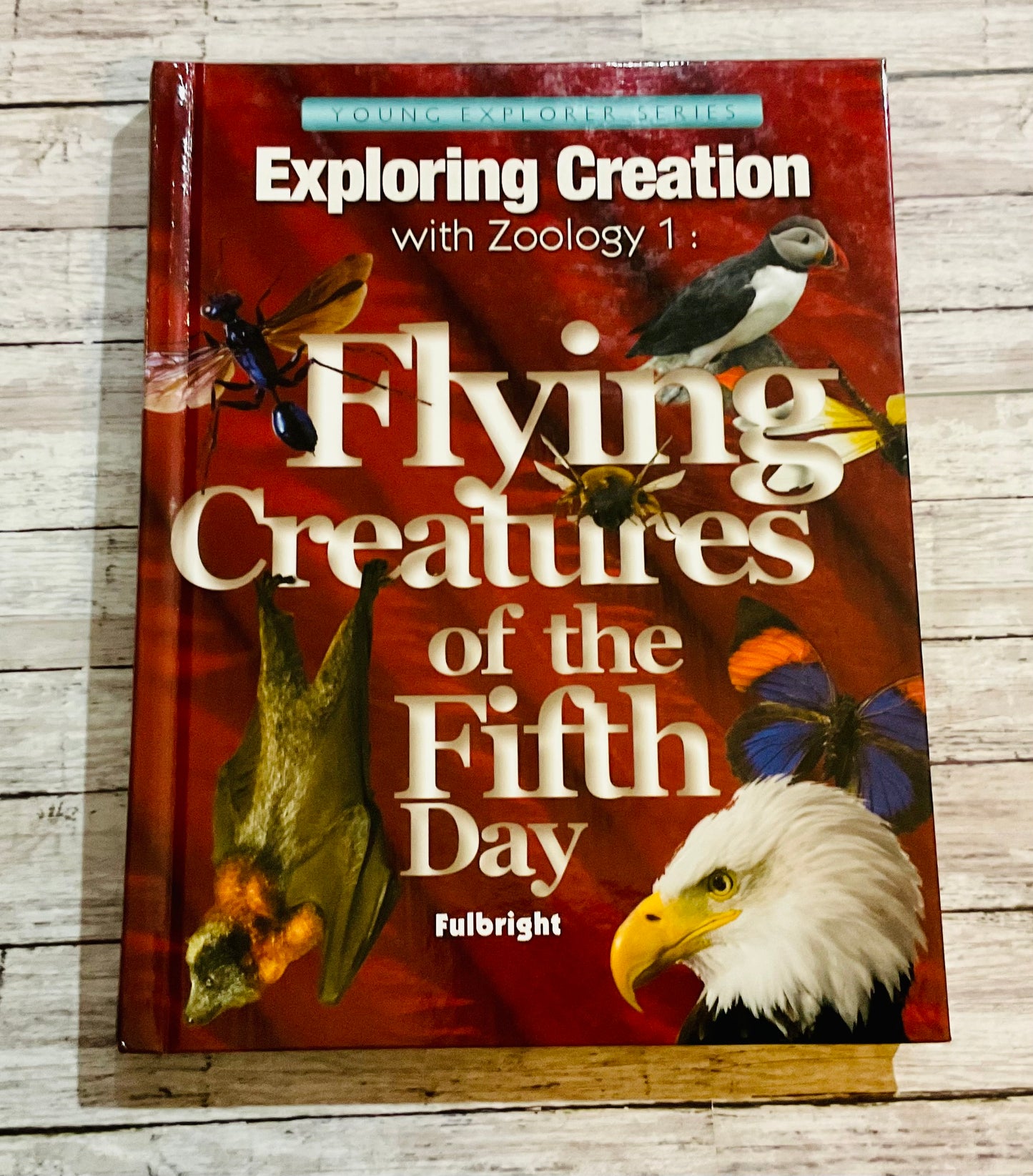Exploring Creation with Zoology 1: Flying Creatures of the Fifth Day - Anchored Homeschool Resource Center