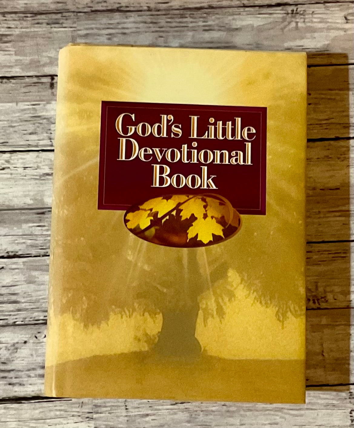 God's Little Devotional Book - Anchored Homeschool Resource Center