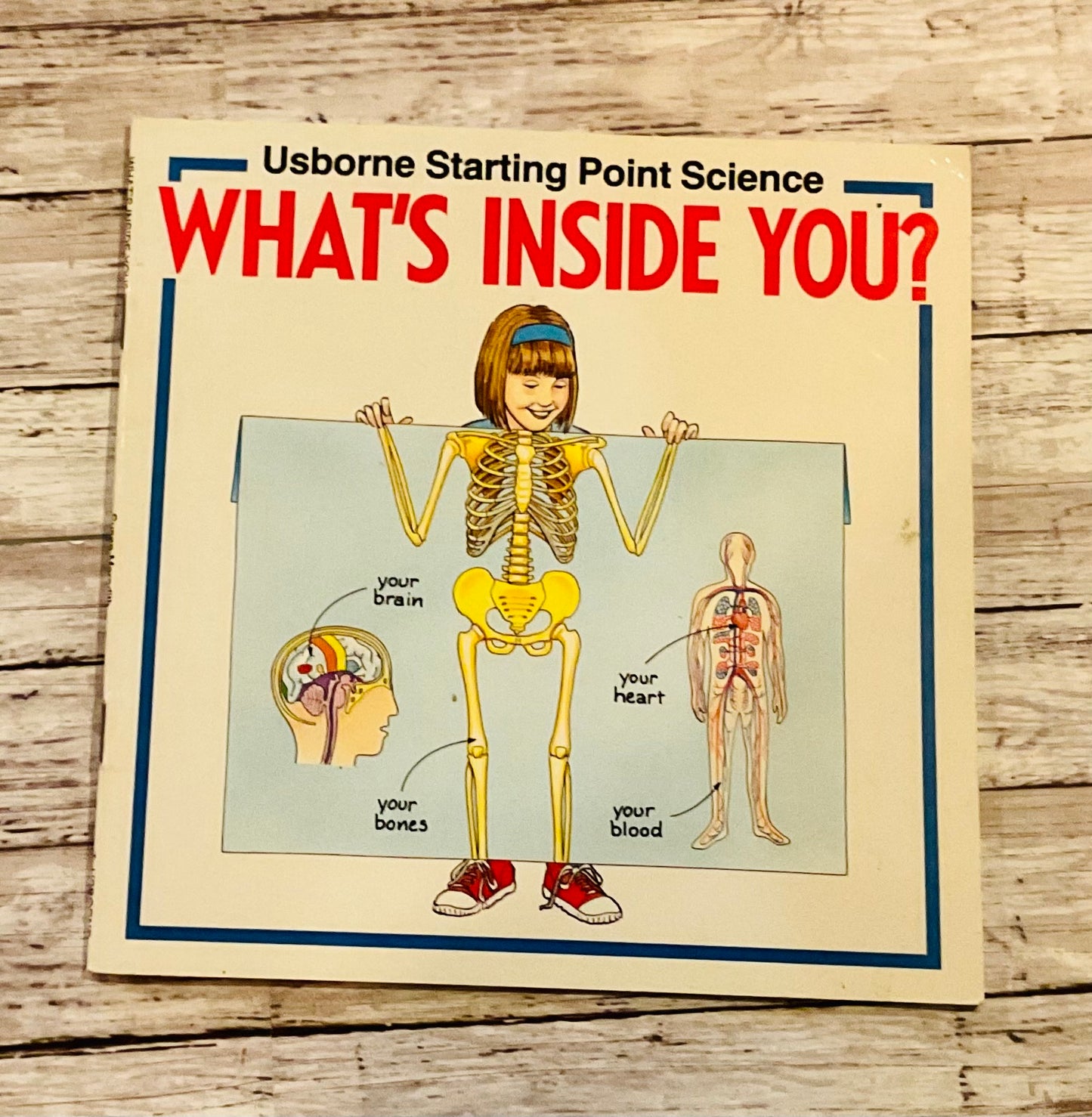 What's Inside You? - Anchored Homeschool Resource Center