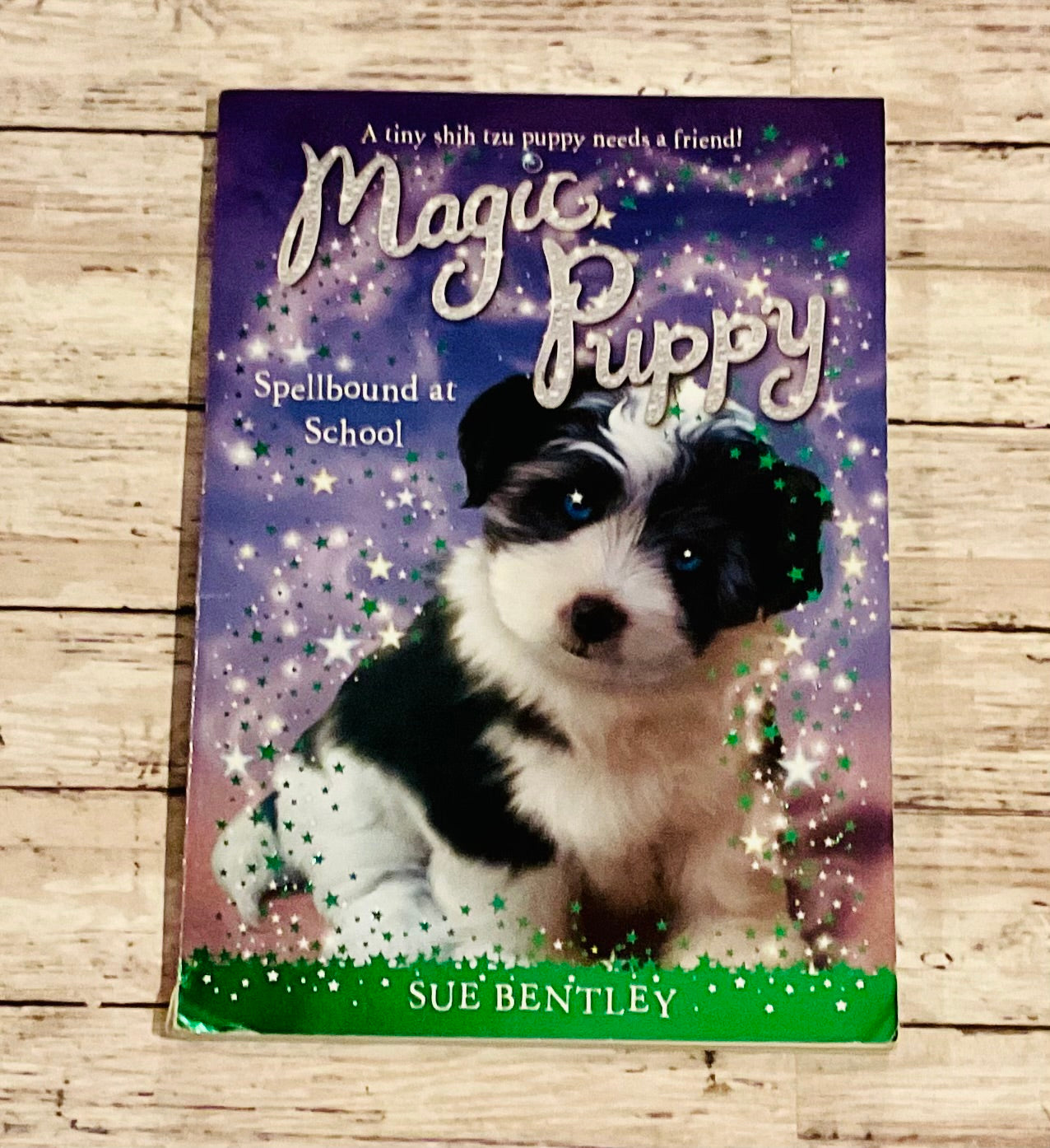 Magic Puppy: Spellbound at School - Anchored Homeschool Resource Center