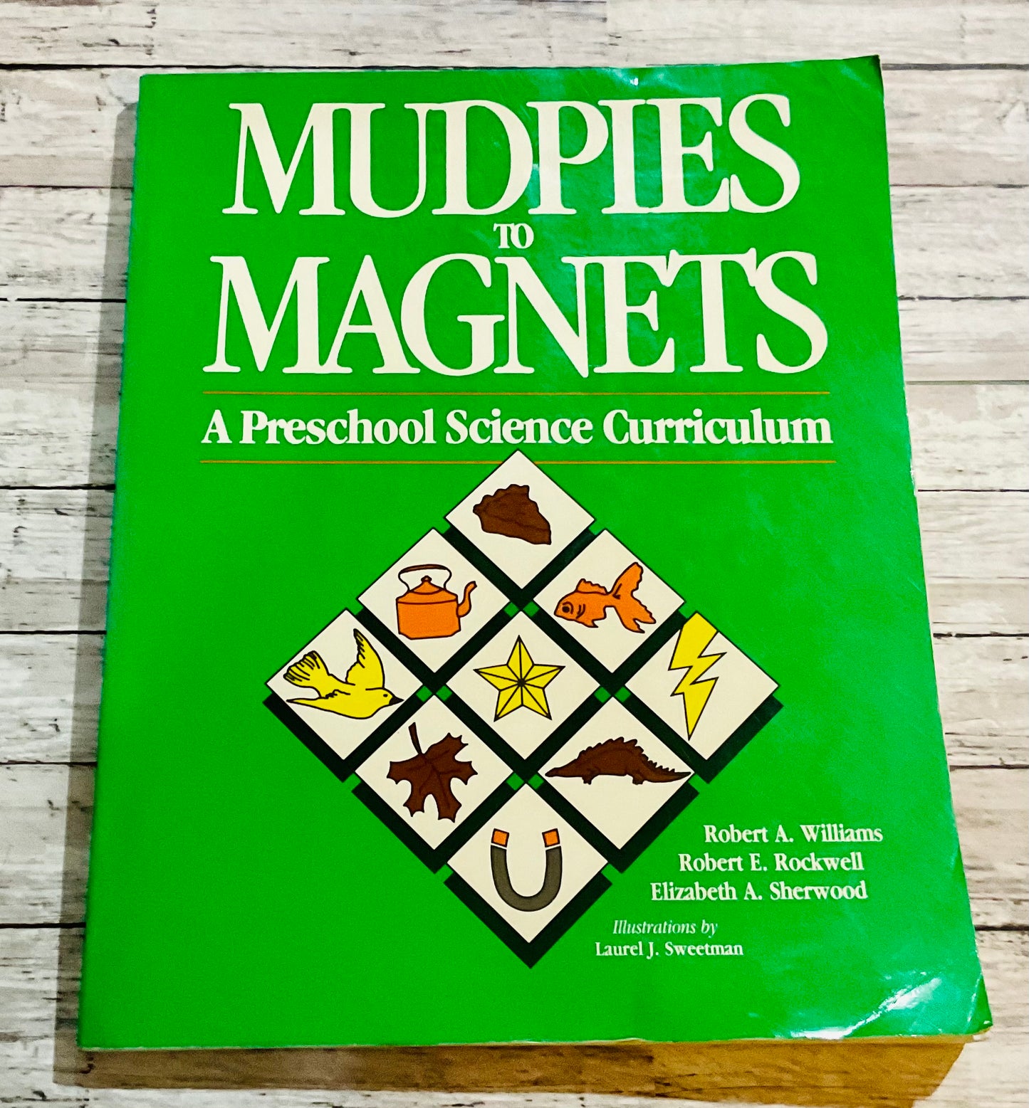 Mudpies to Magnets: A Preschool Science Curriculum - Anchored Homeschool Resource Center