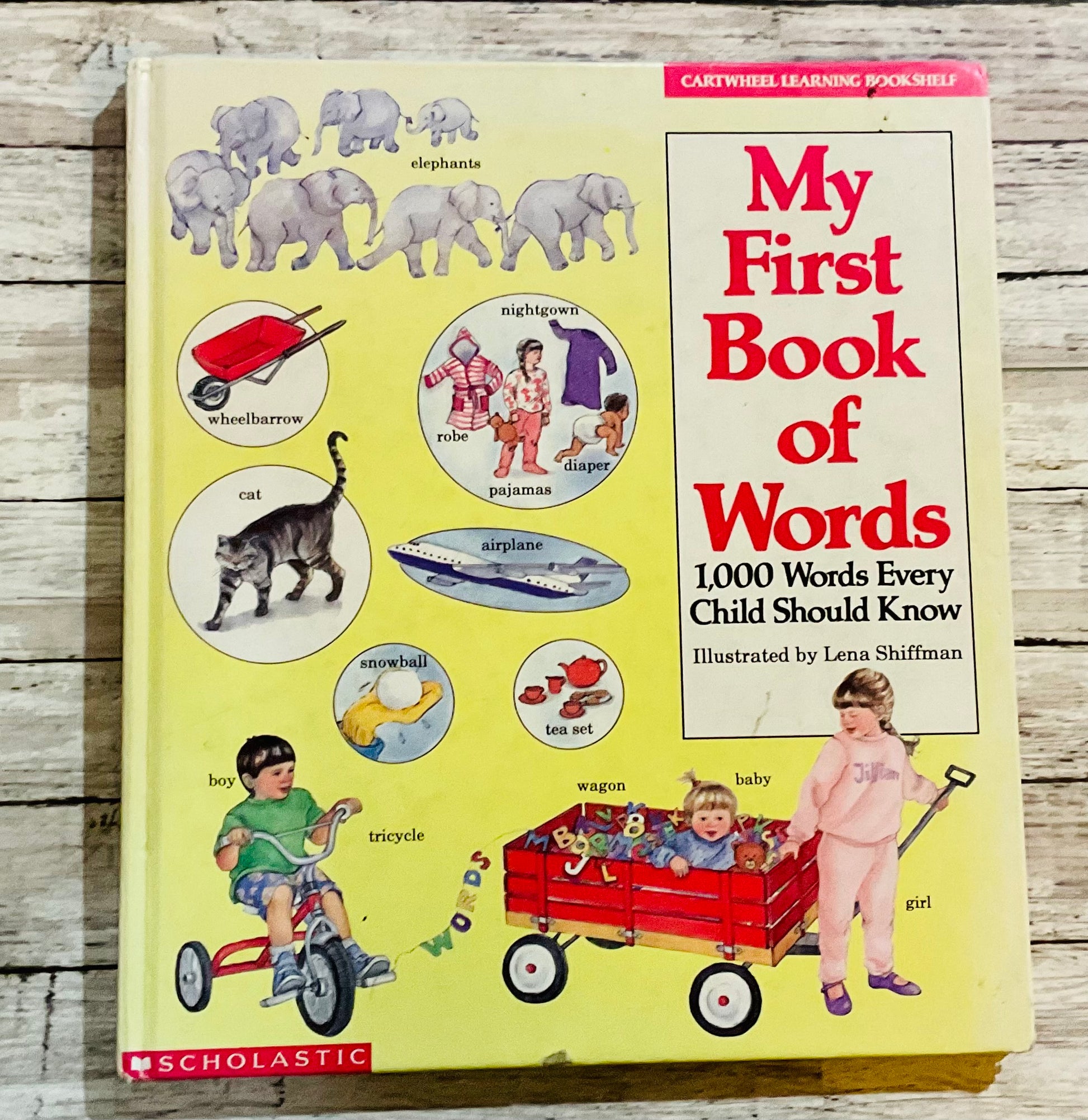 My First Book of Words* - Anchored Homeschool Resource Center