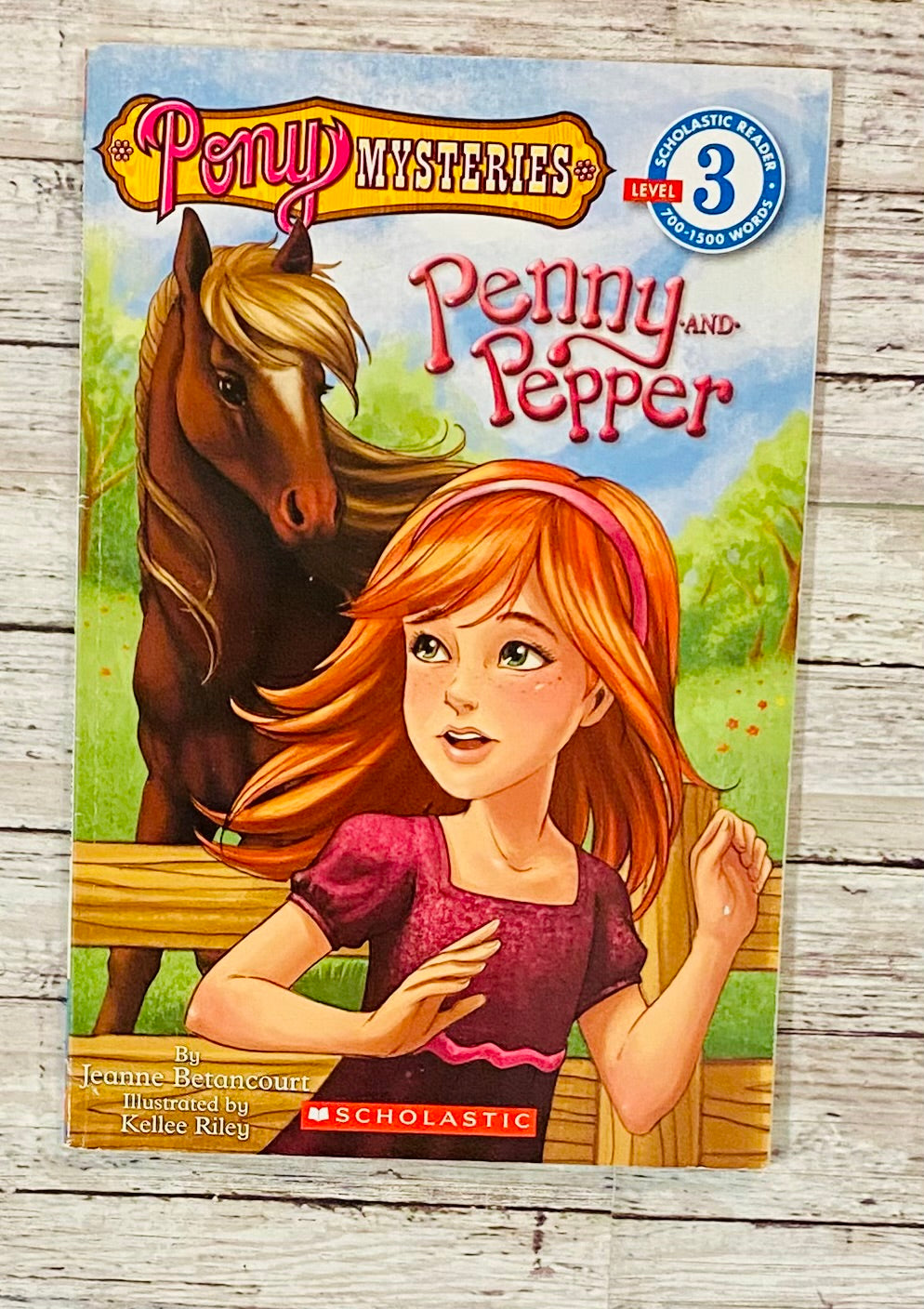 Pony Mysteries Penny and Pepper - Anchored Homeschool Resource Center