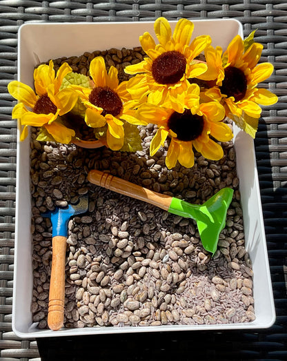 Sunflower Sensory Bin - Anchored Homeschool Resource Center