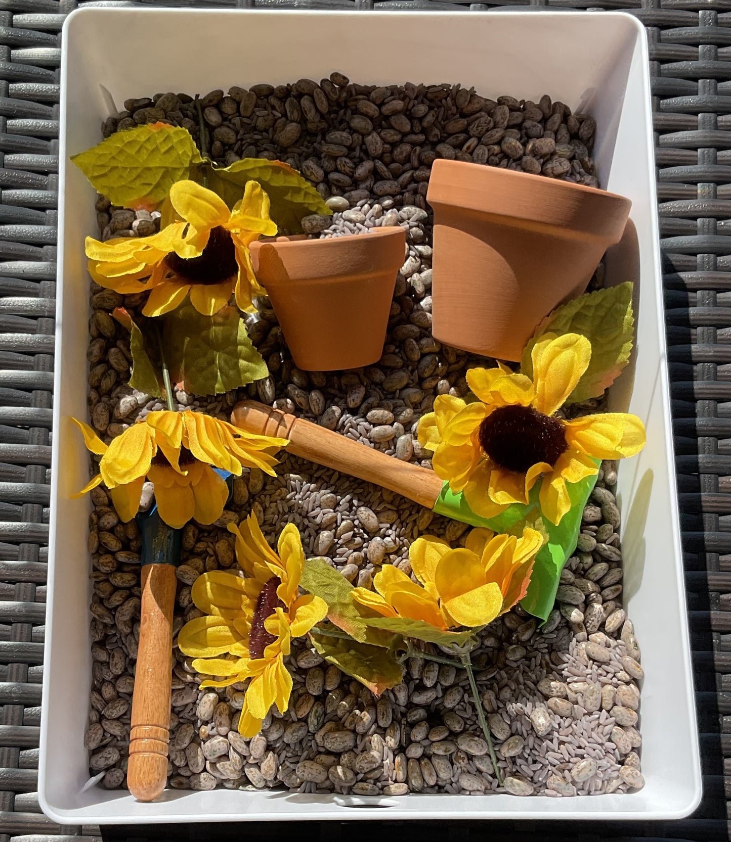 Sunflower Sensory Bin - Anchored Homeschool Resource Center