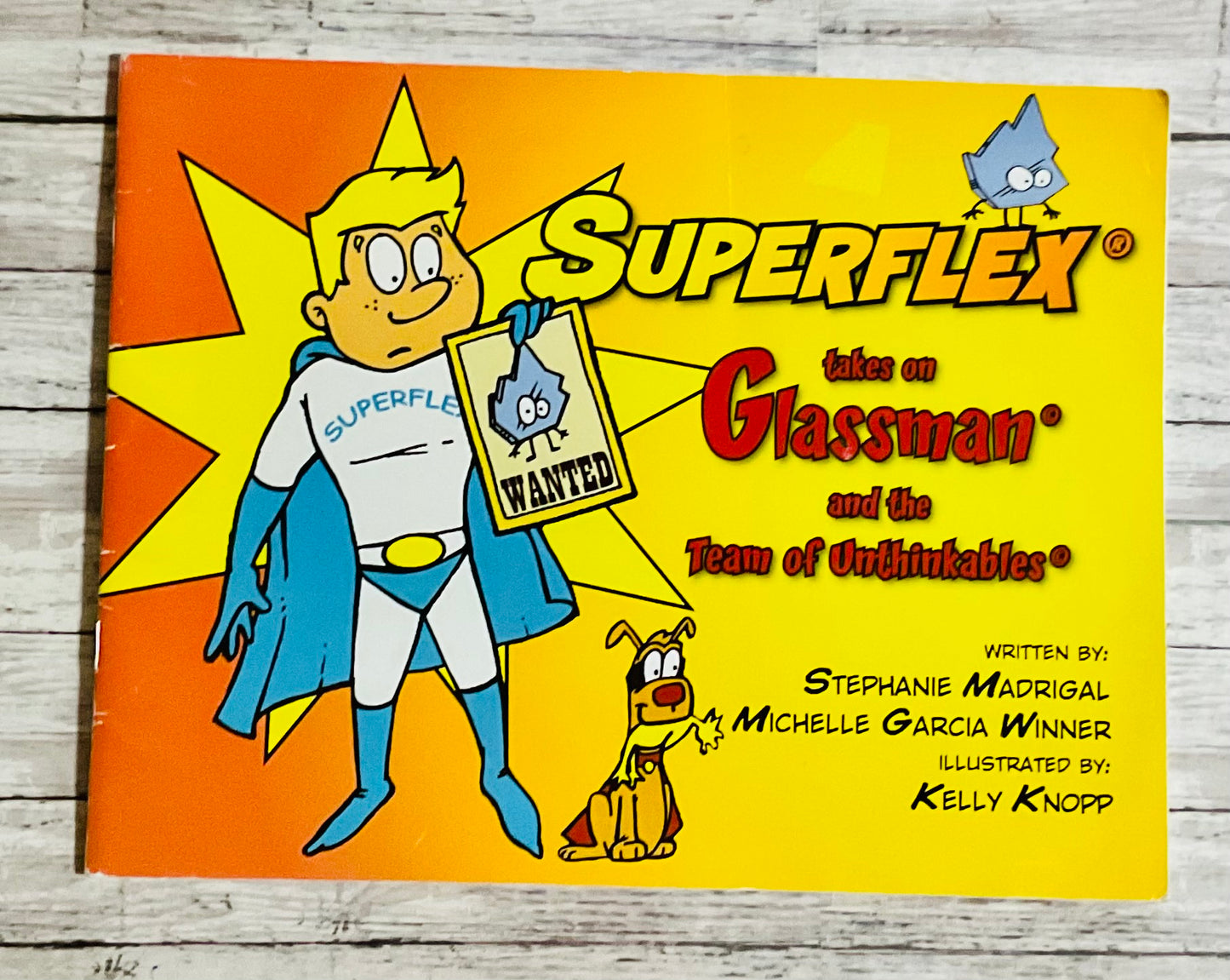 Superflex Takes of Glassman and the Team of Unthinkables - Anchored Homeschool Resource Center
