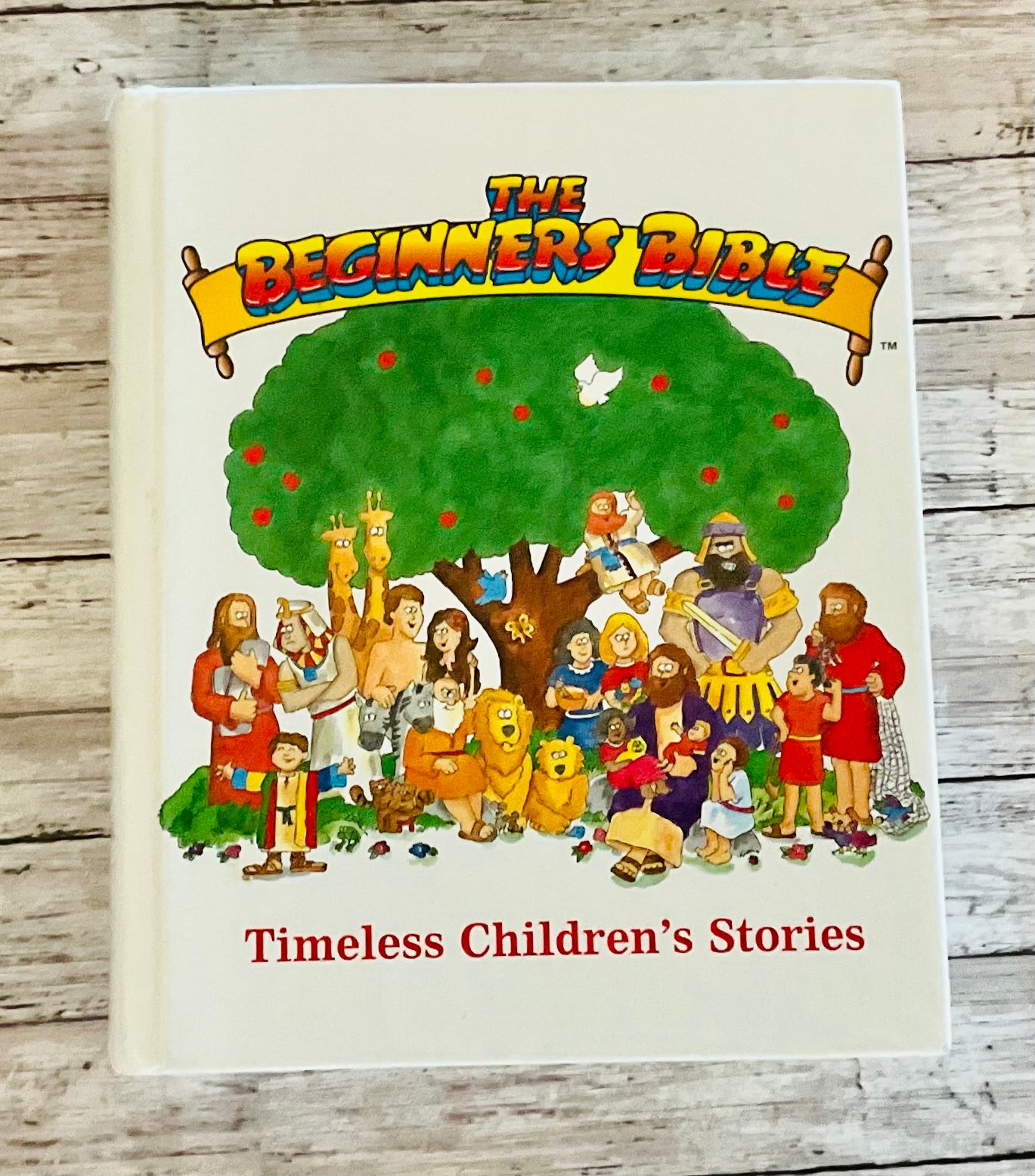 The Beginner's Bible - Anchored Homeschool Resource Center