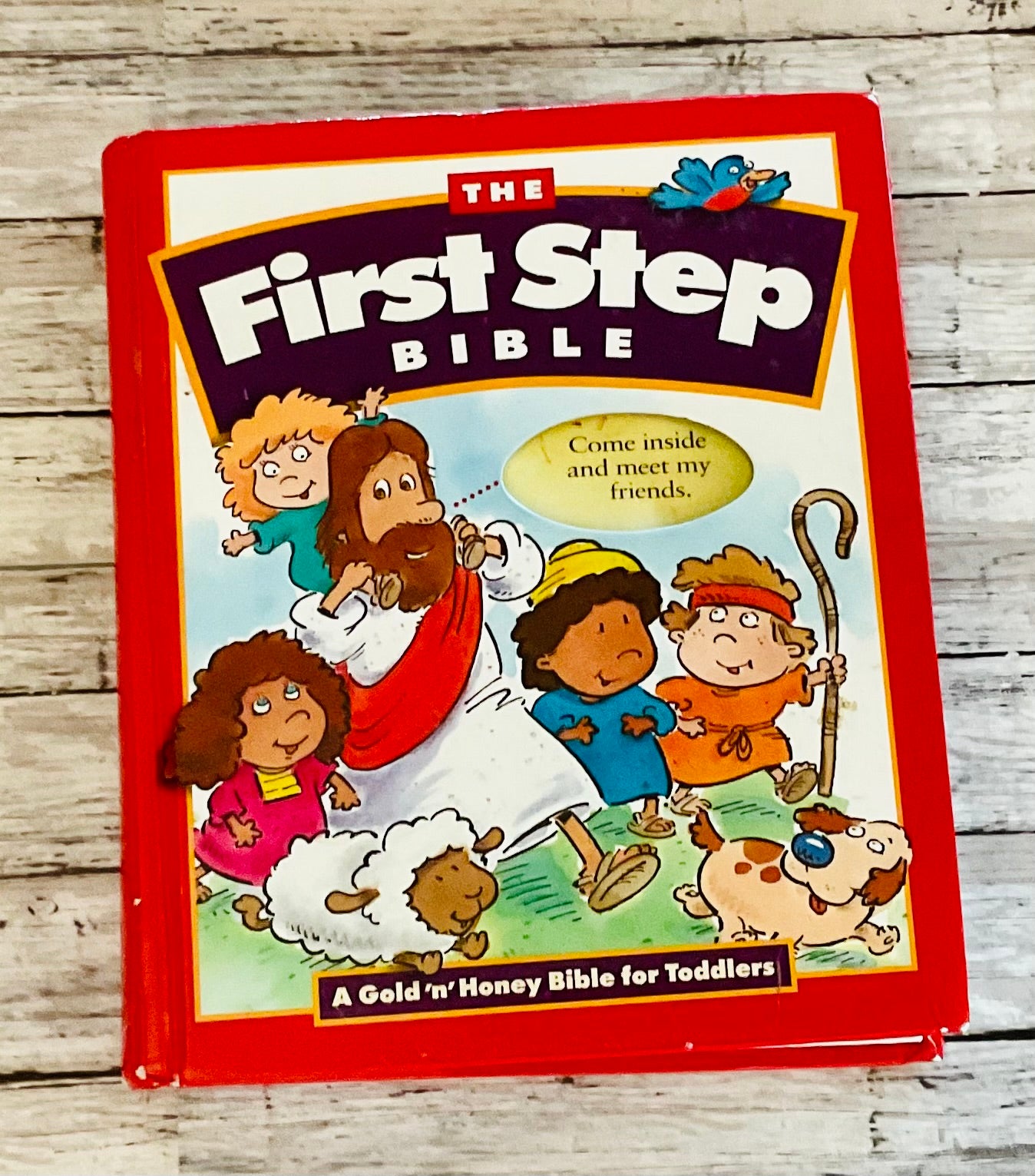 The First Step Bible - Anchored Homeschool Resource Center