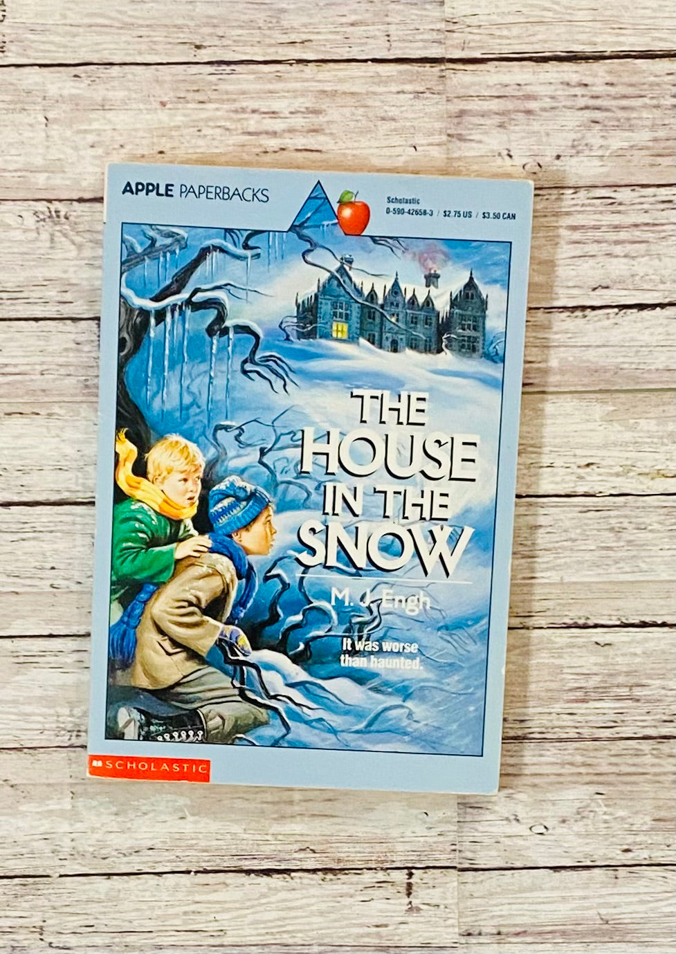 The House in the Snow - Anchored Homeschool Resource Center