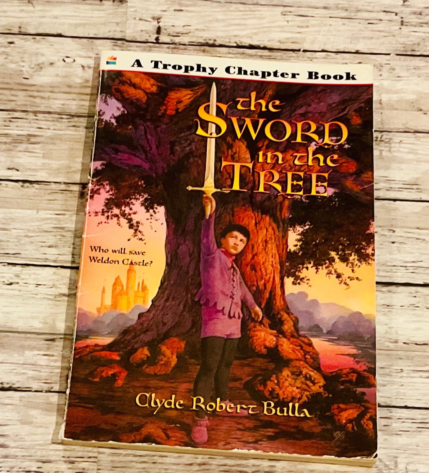 The Sword in the Tree - Anchored Homeschool Resource Center