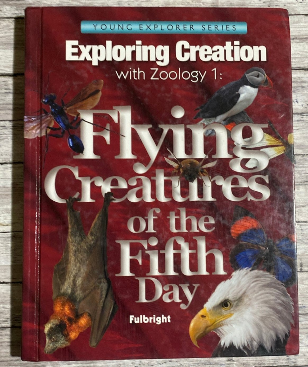 Exploring Creation With Zoology 1 Flying Creatures Set