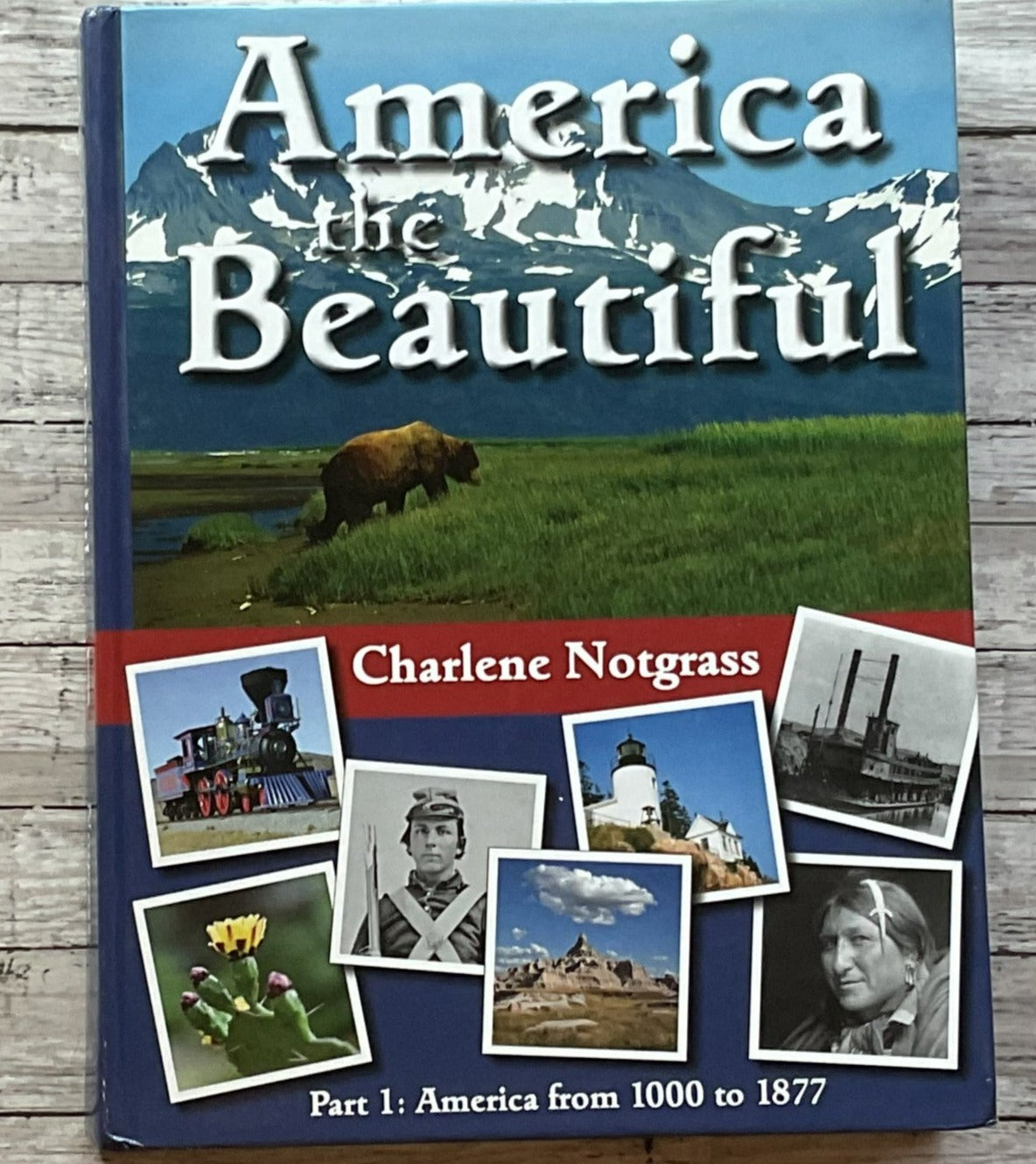America the Beautiful Part 1 - Anchored Homeschool Resource Center