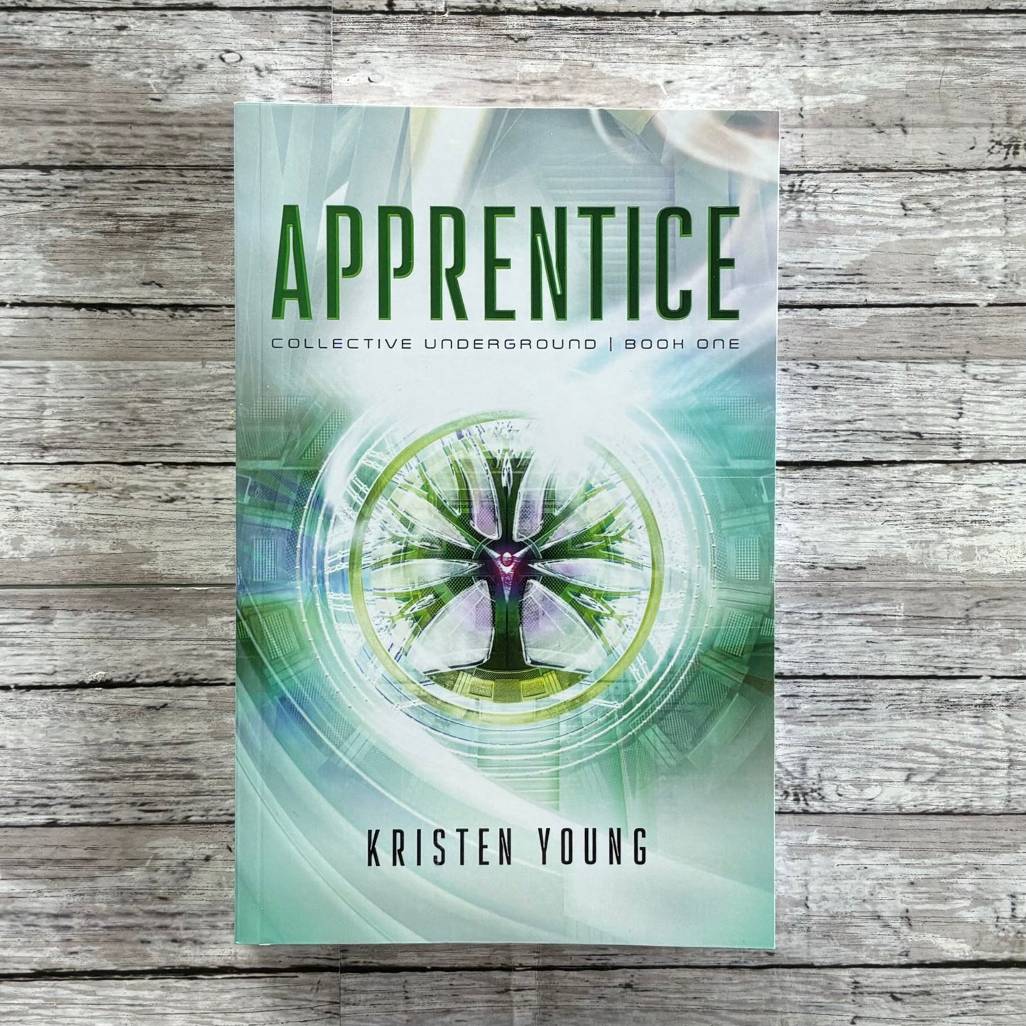 Apprentice by Kristen Young - Anchored Homeschool Resource Center