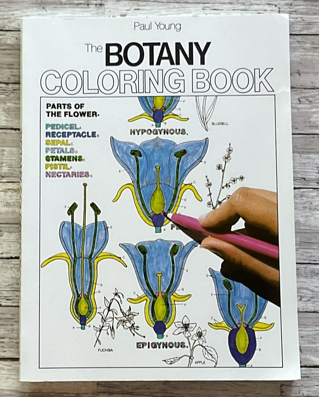 The Botany Coloring Book - Anchored Homeschool Resource Center