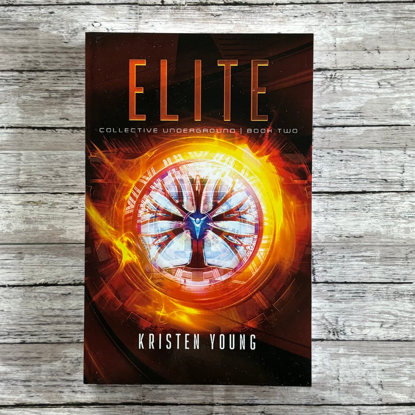 Elite by Kristen Young - Anchored Homeschool Resource Center