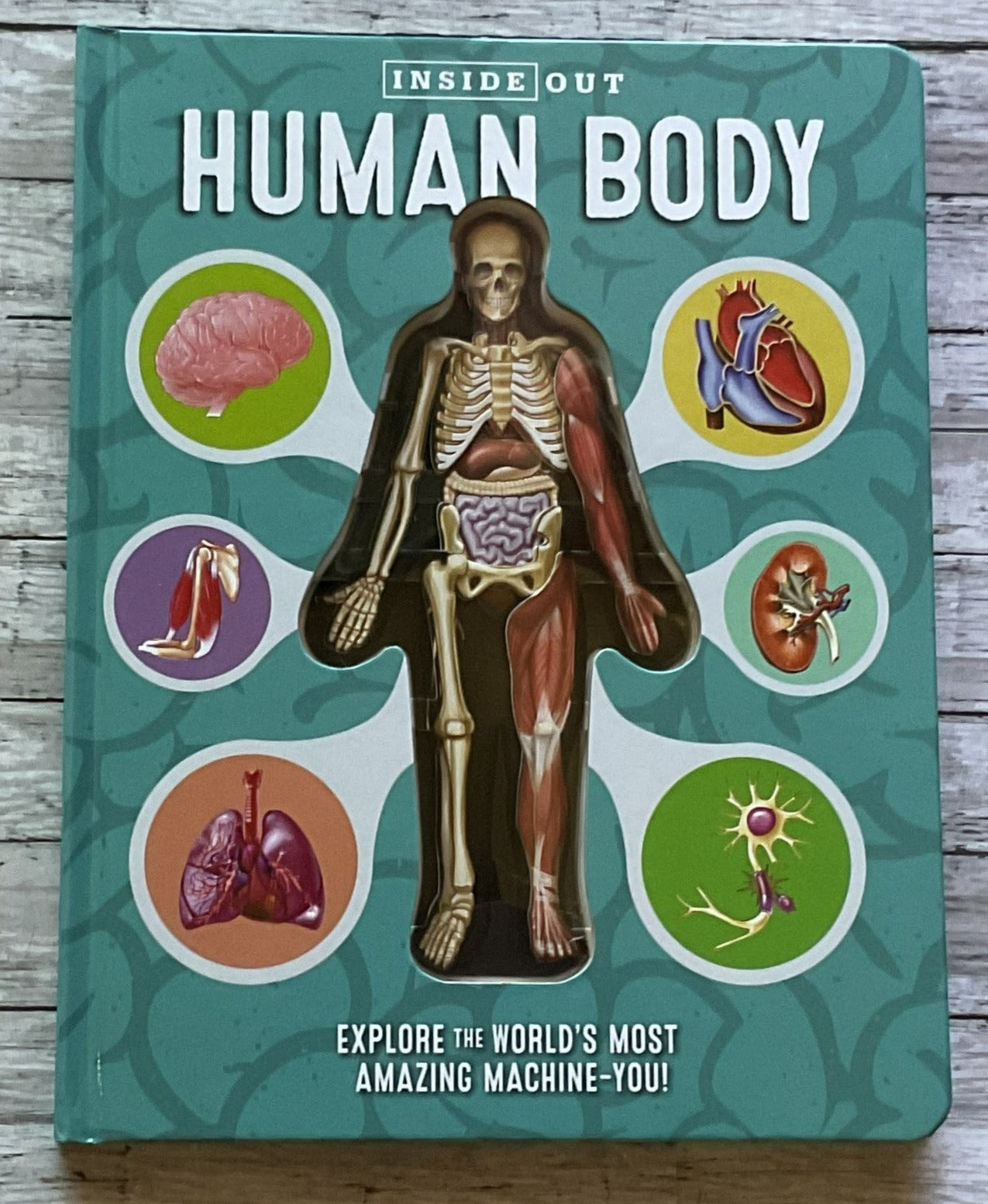 Inside Out Human Body - Anchored Homeschool Resource Center