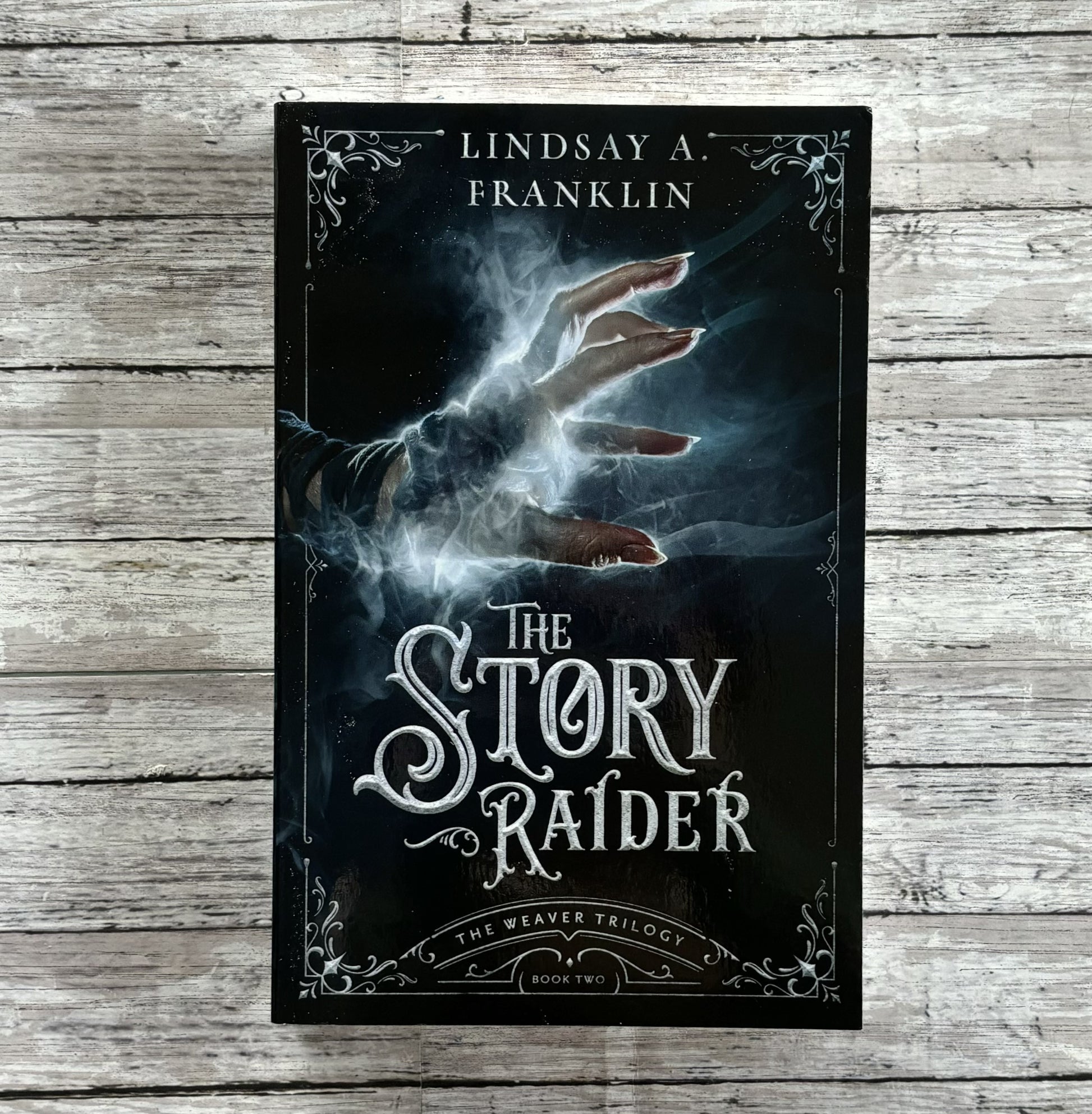 The Story Raider by Lindsay A. Franklin - Anchored Homeschool Resource Center