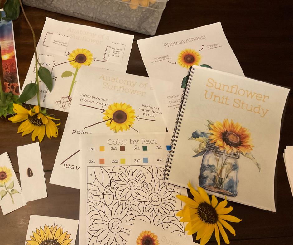 Sunflower Unit Study Printed Workbook + PDF Download - Anchored Homeschool Resource Center