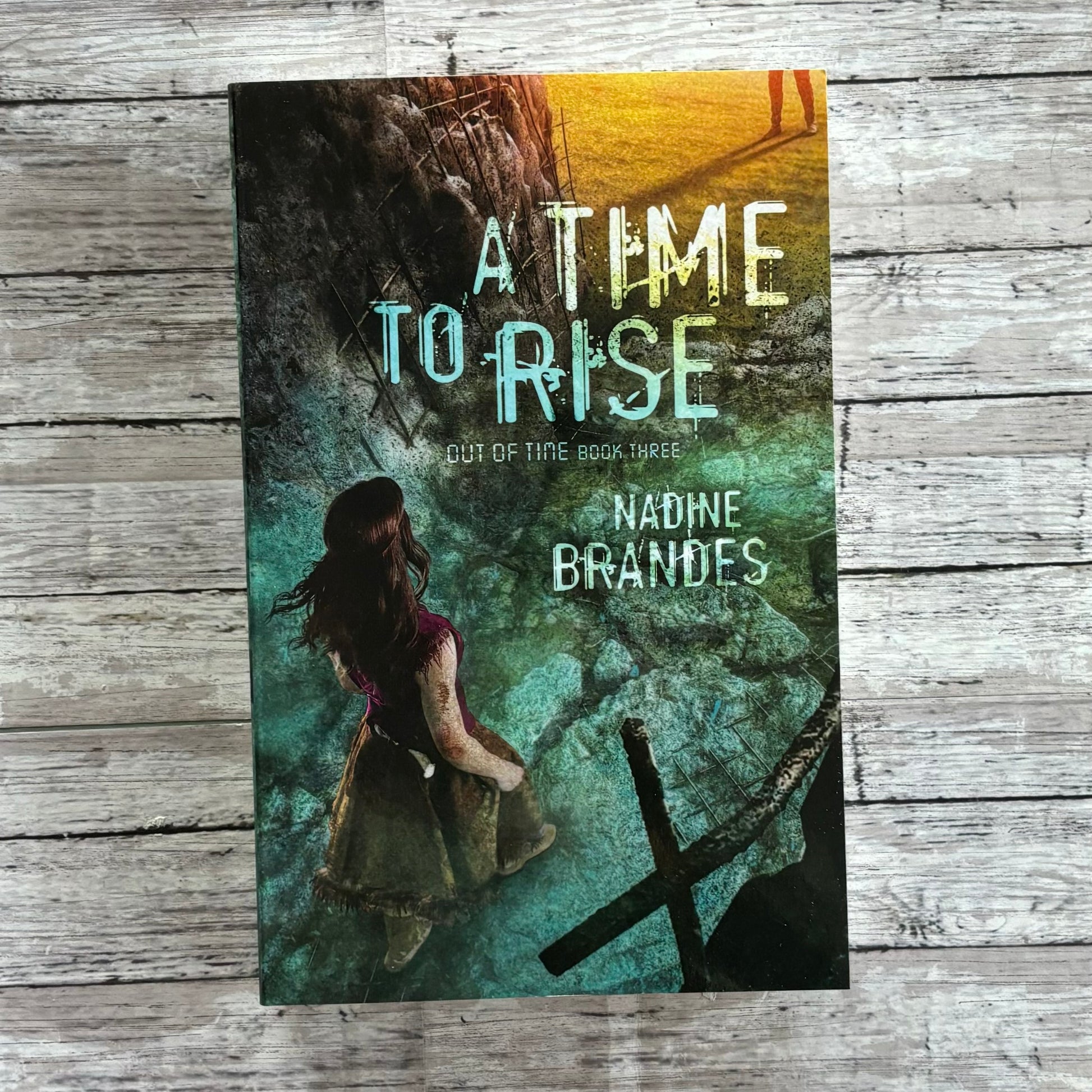 A Time to Rise by Nadine Brandes - Anchored Homeschool Resource Center