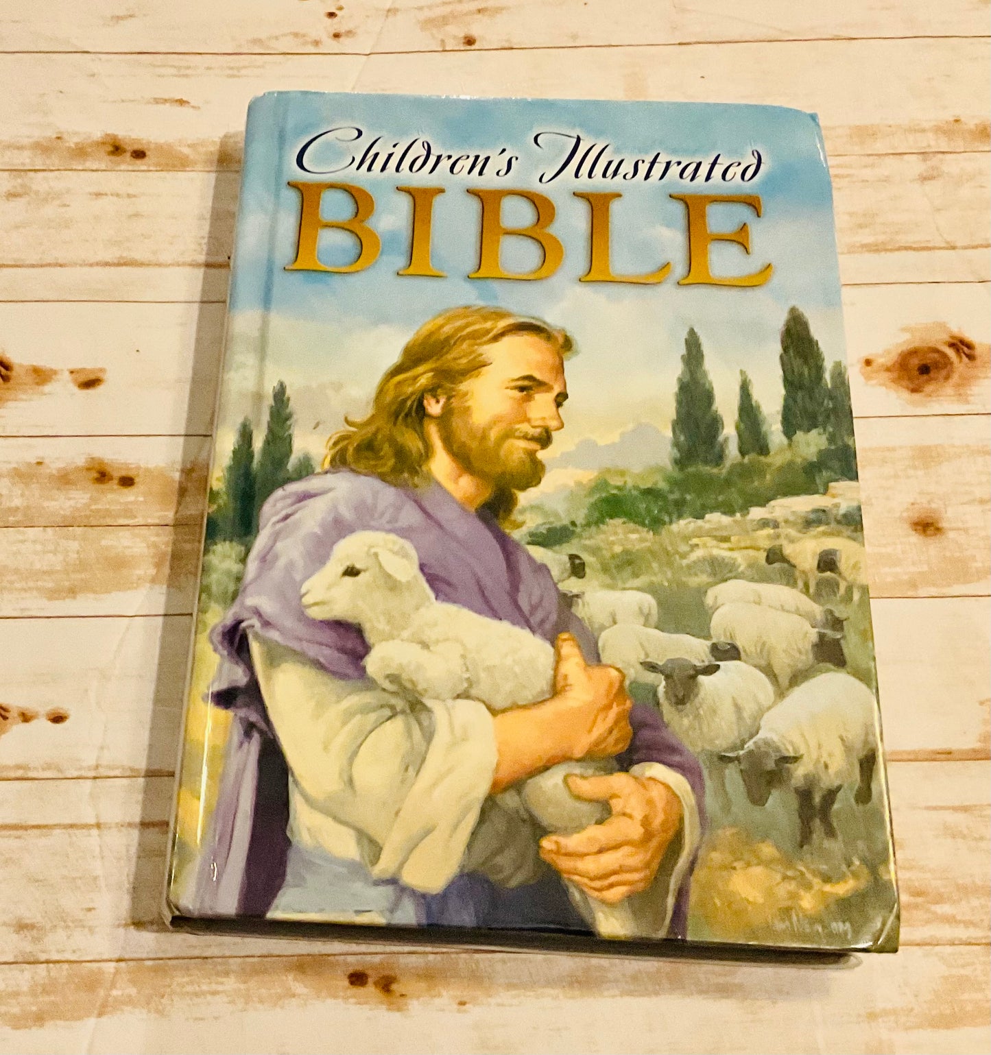 Children's Illustrated Bible - Anchored Homeschool Resource Center