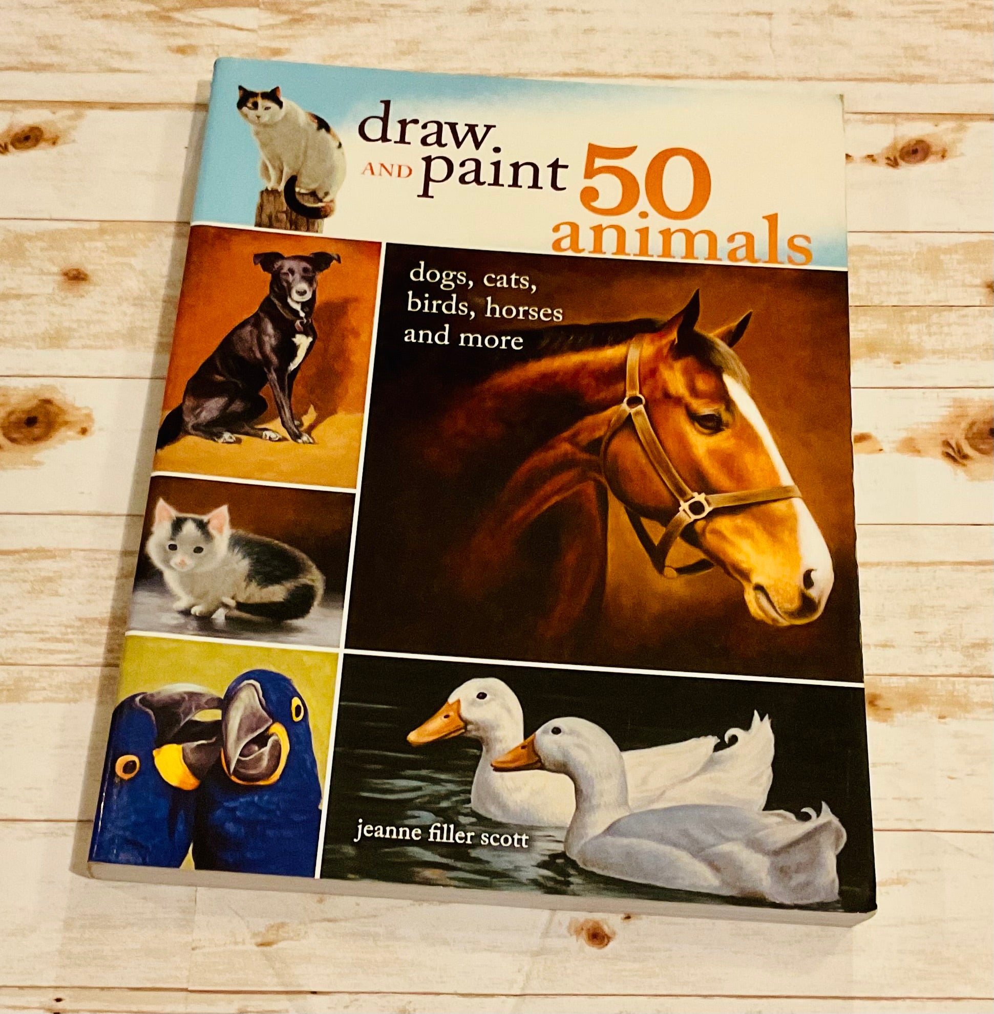 Draw and Paint 50 Animals - Anchored Homeschool Resource Center