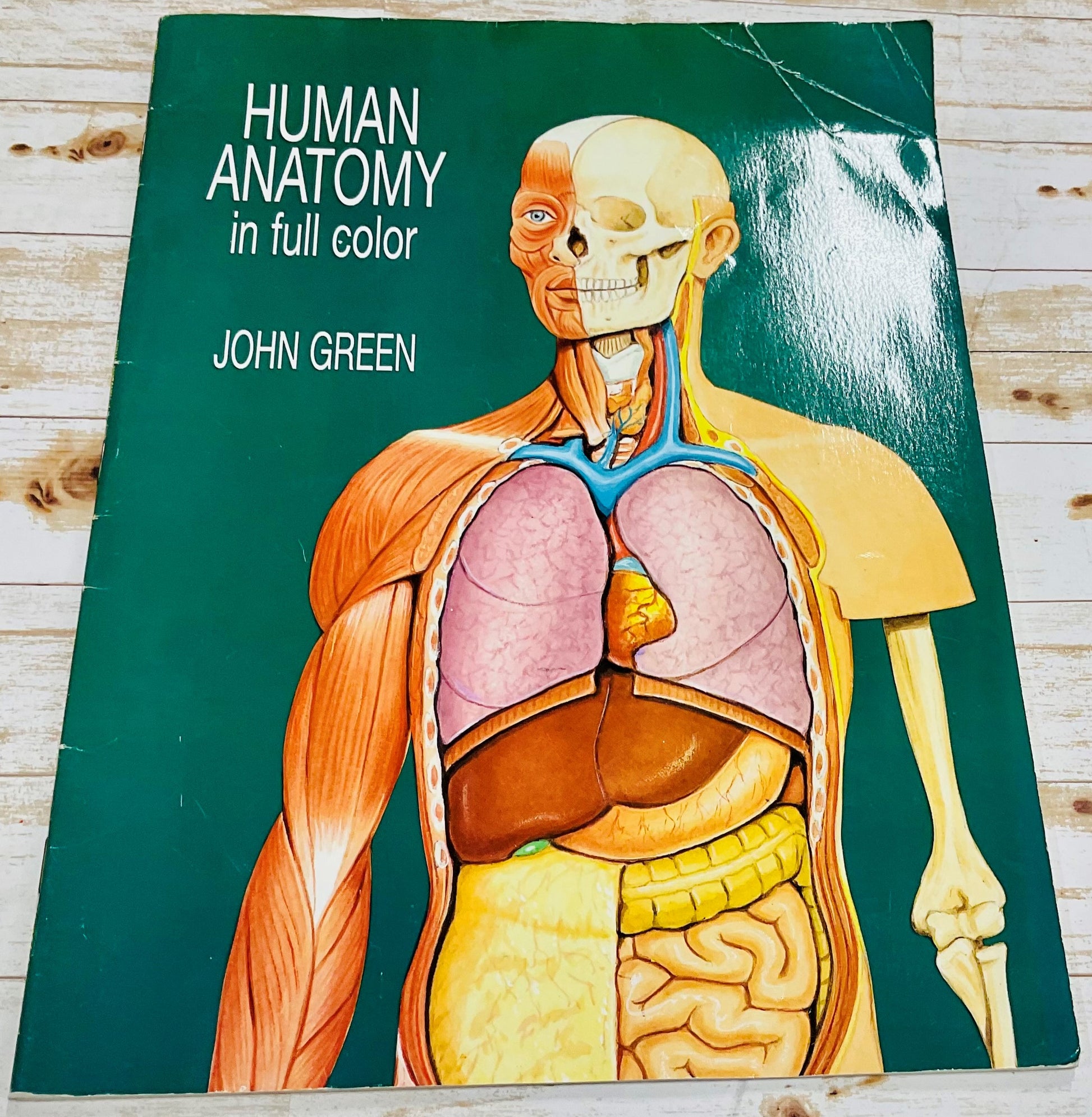 Human Anatomy in Full Color - Anchored Homeschool Resource Center
