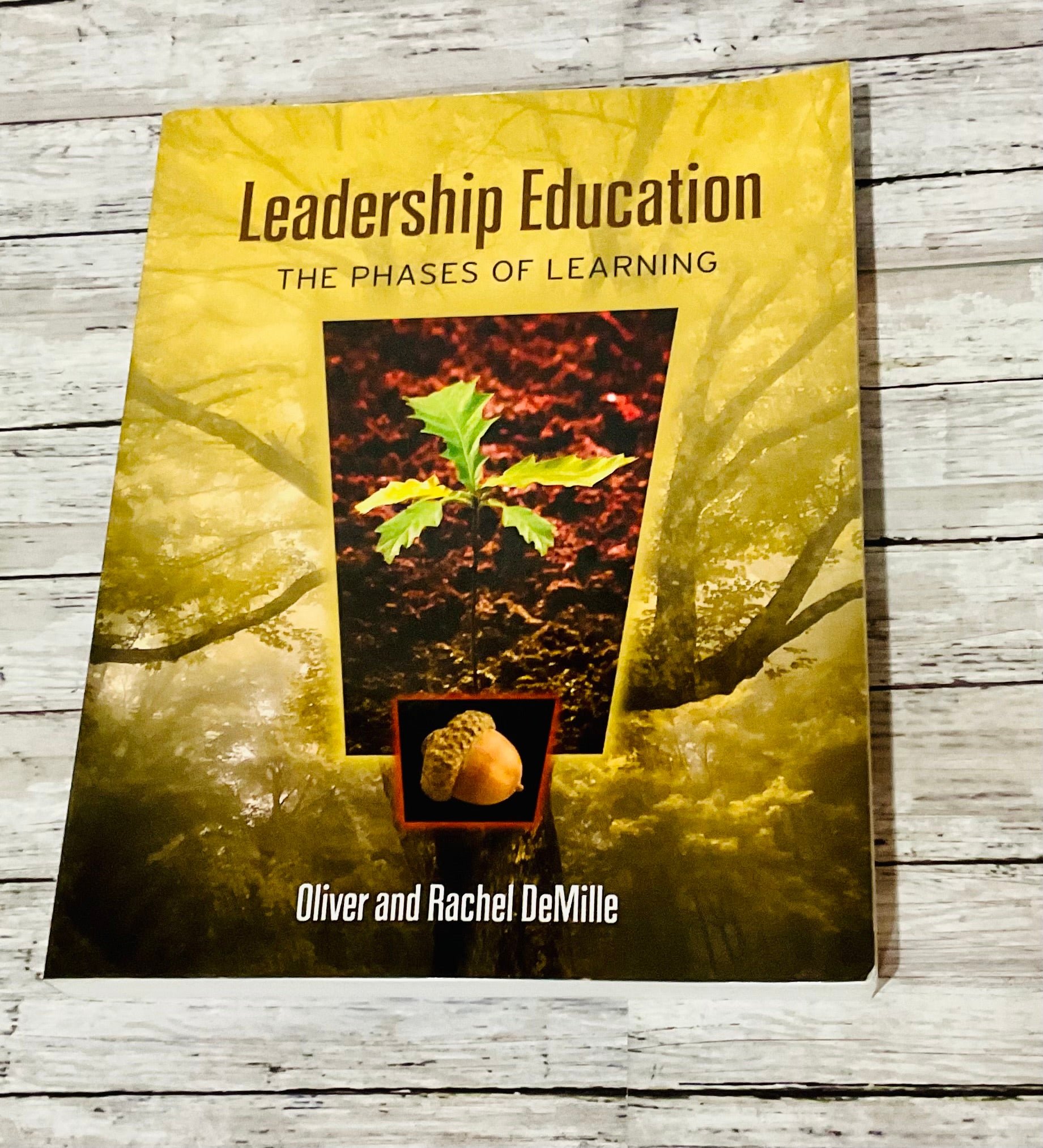 Leadership Education: The Phases of Learning - Anchored Homeschool Resource Center