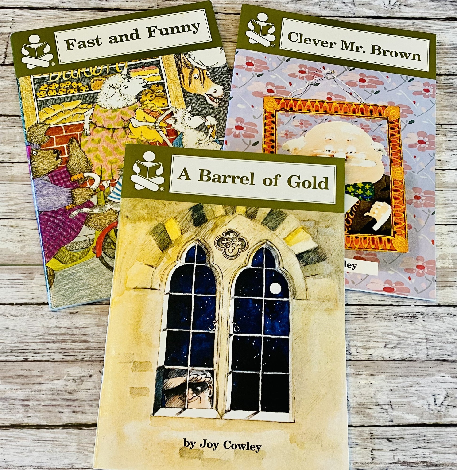 The Story Box Level 4 Readers - Anchored Homeschool Resource Center