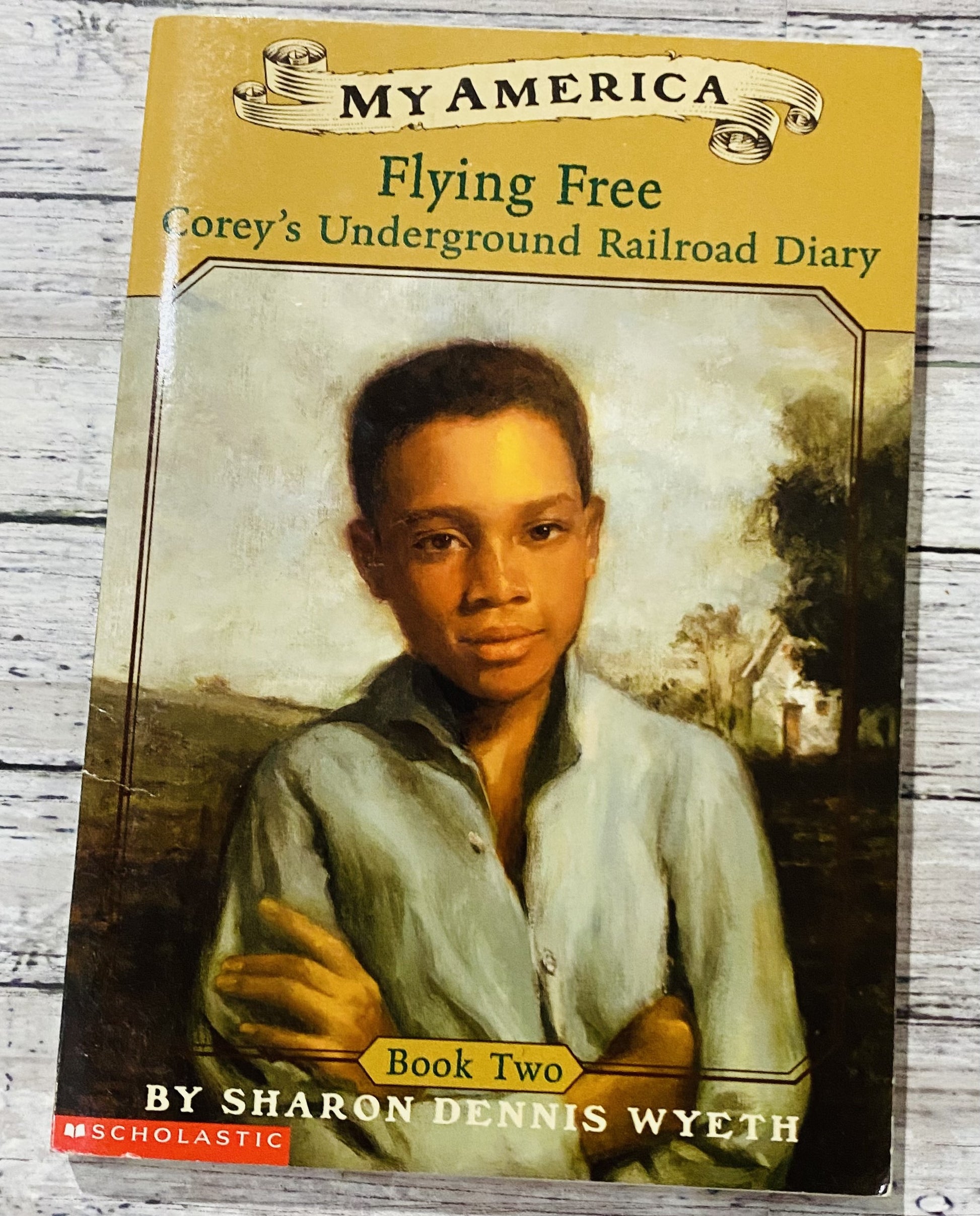 My America Flying Free* - Anchored Homeschool Resource Center