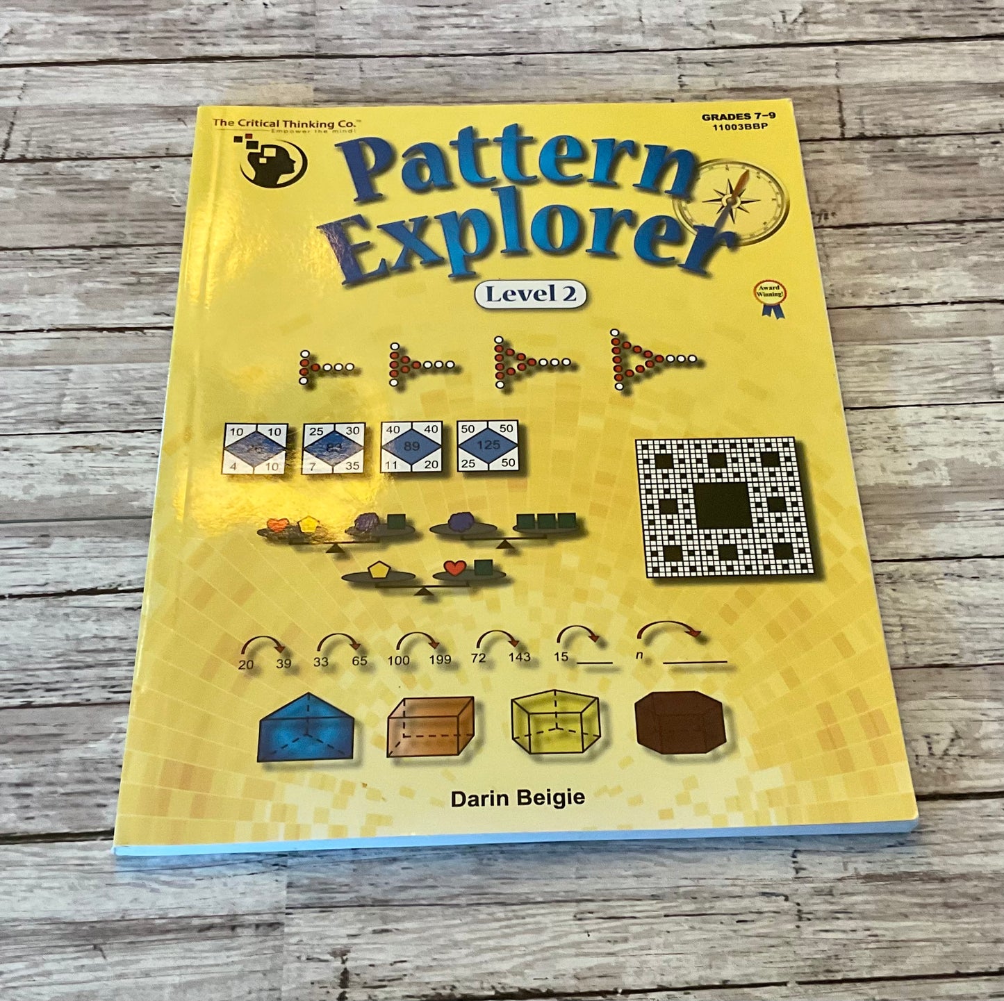 Pattern Explorer Level 2 - Anchored Homeschool Resource Center