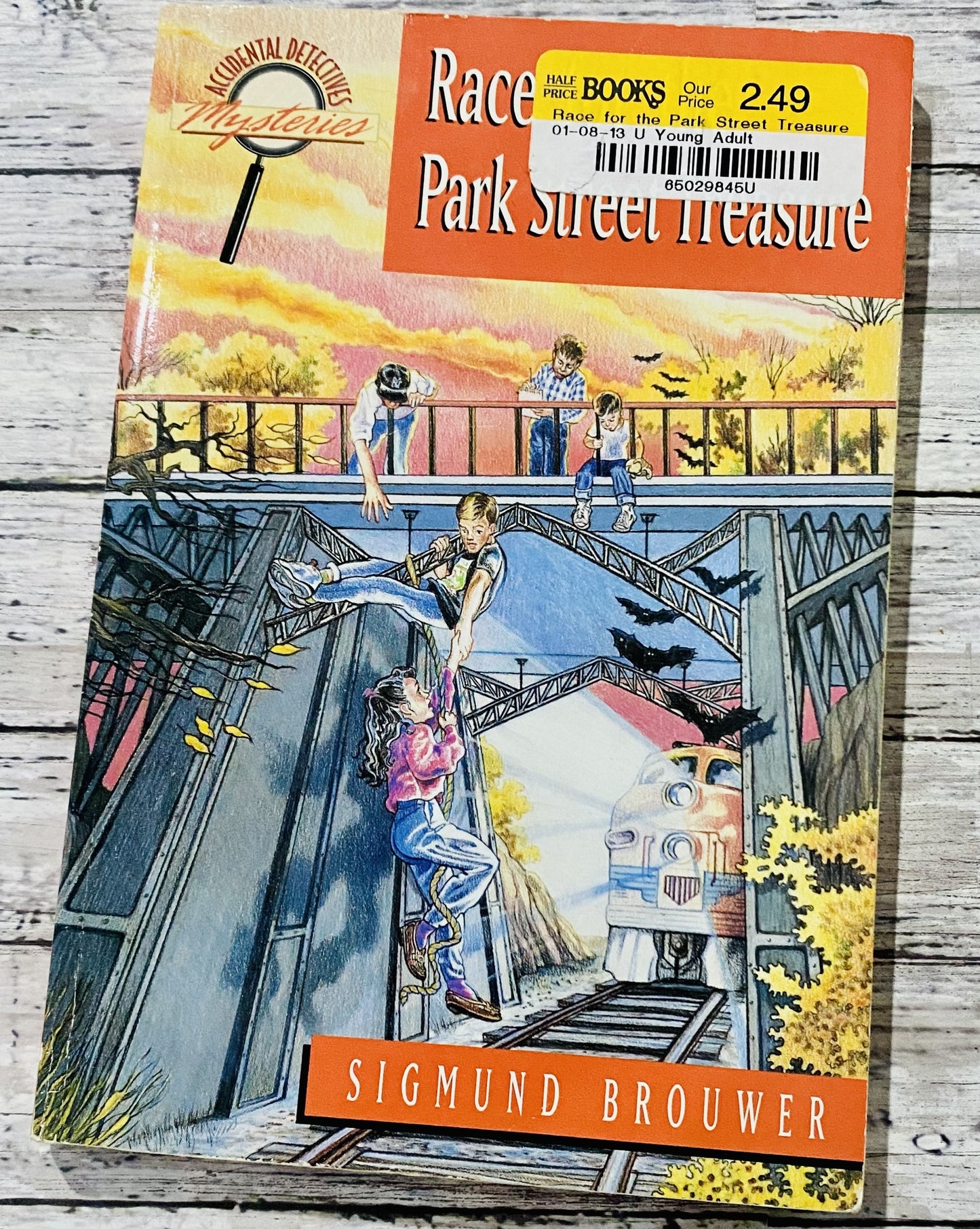 Race for the Park* - Anchored Homeschool Resource Center