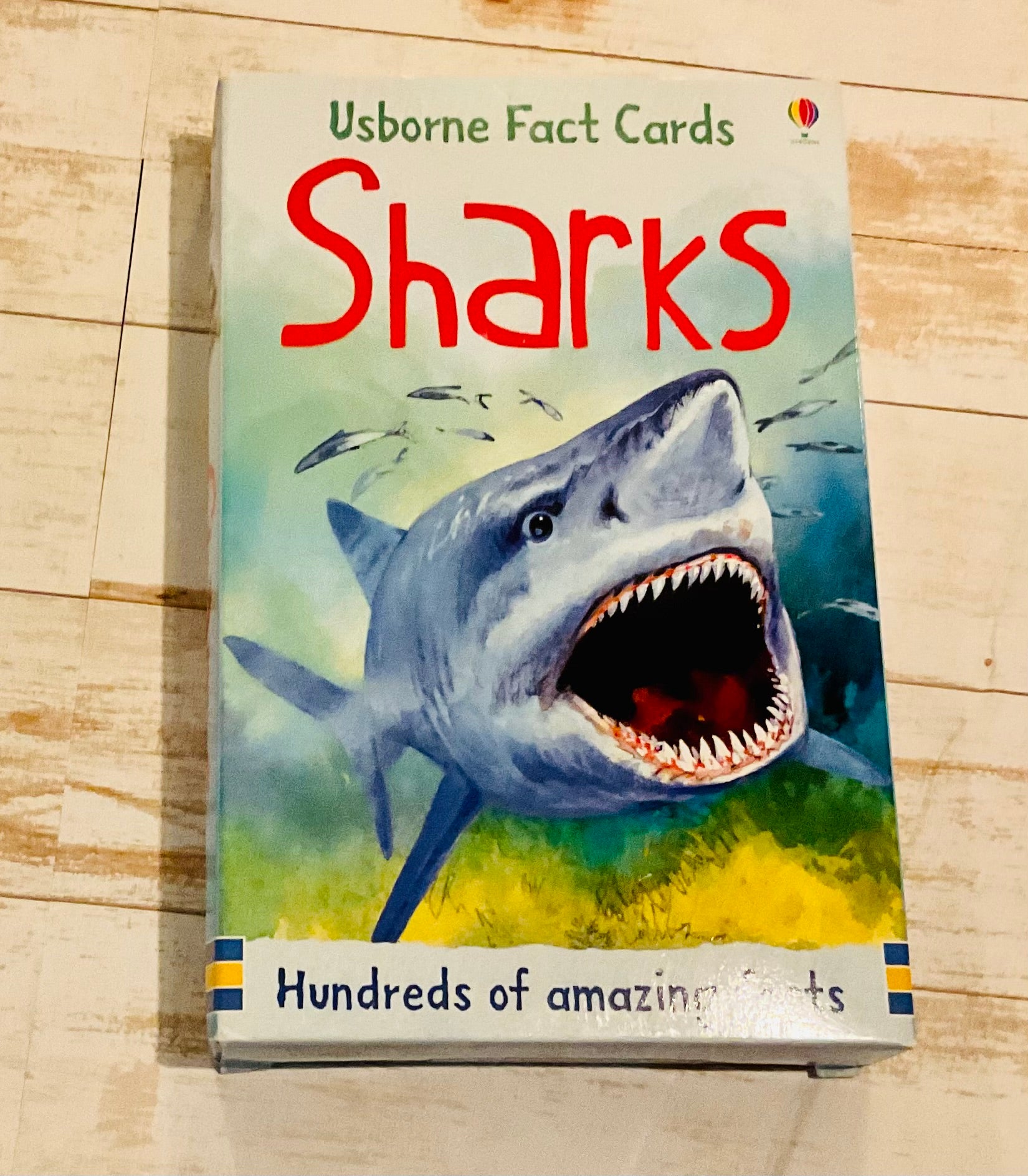 Usborne Shark Fact Cards - Anchored Homeschool Resource Center