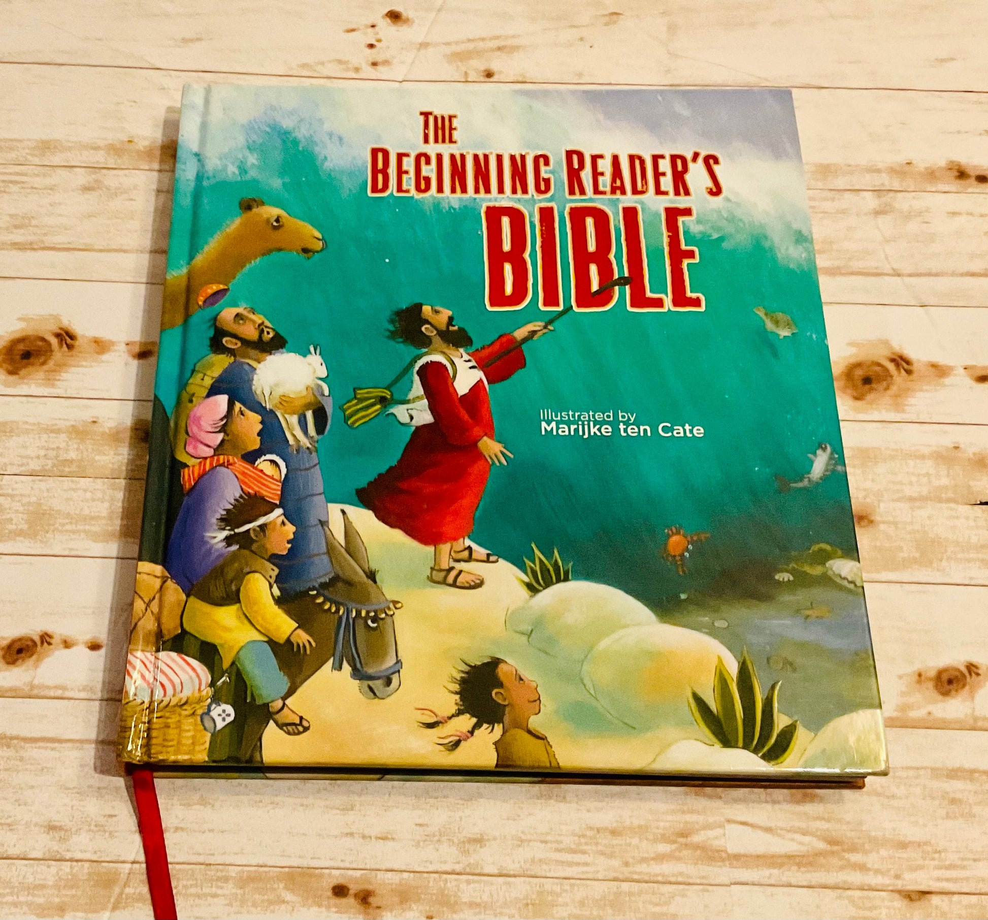 The Beginning Reader's Bible - Anchored Homeschool Resource Center