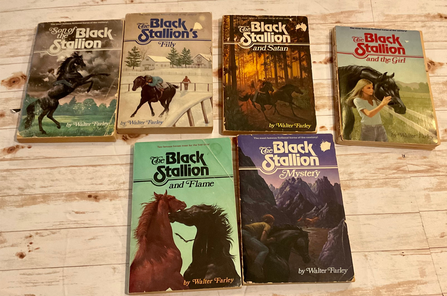 The Black Stallion Book Set - Anchored Homeschool Resource Center