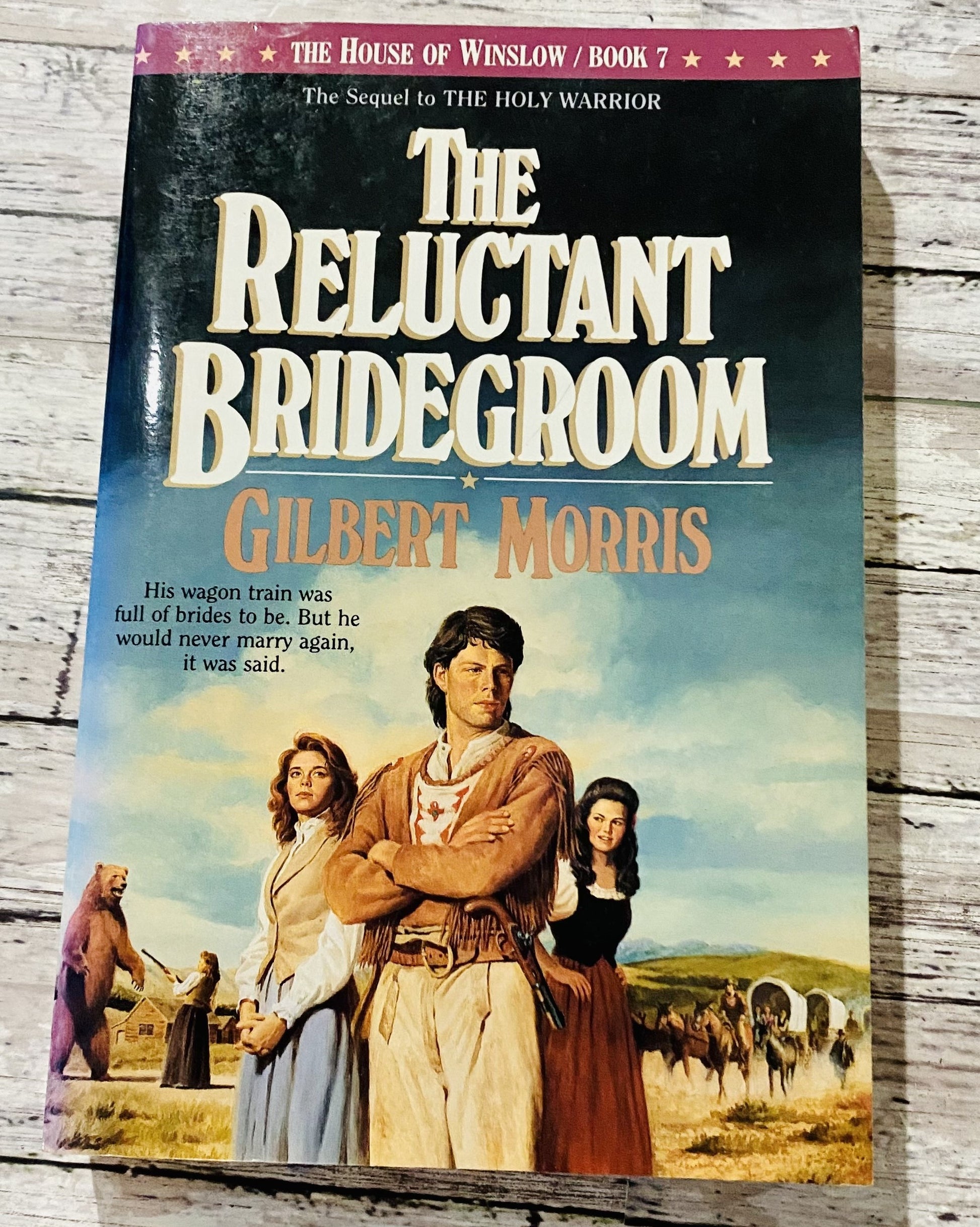 The House of Winslow Series: The Reluctant Bridegroom (Book 7)* - Anchored Homeschool Resource Center